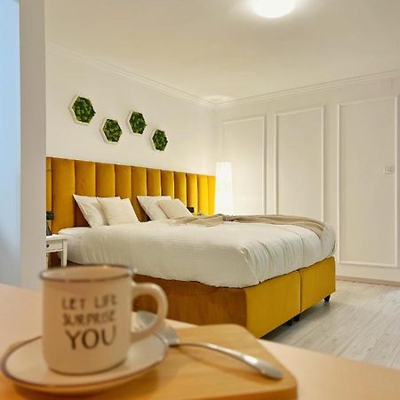 Studio 118 - A Luxury Place,10Min Walk To City Center Timisoara Ngoại thất bức ảnh