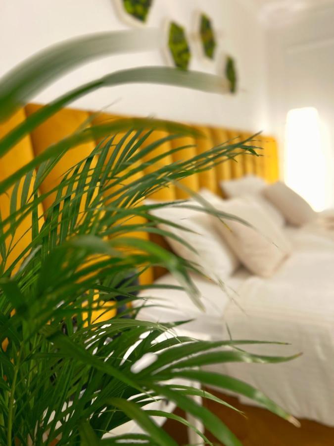 Studio 118 - A Luxury Place,10Min Walk To City Center Timisoara Ngoại thất bức ảnh